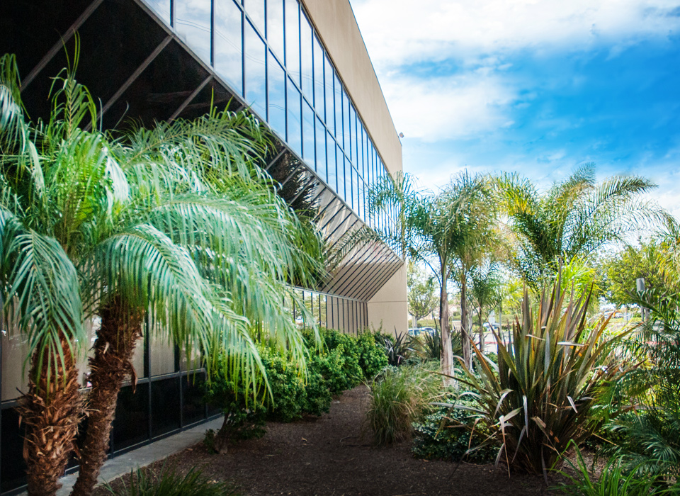 Bonita Medical Plaza